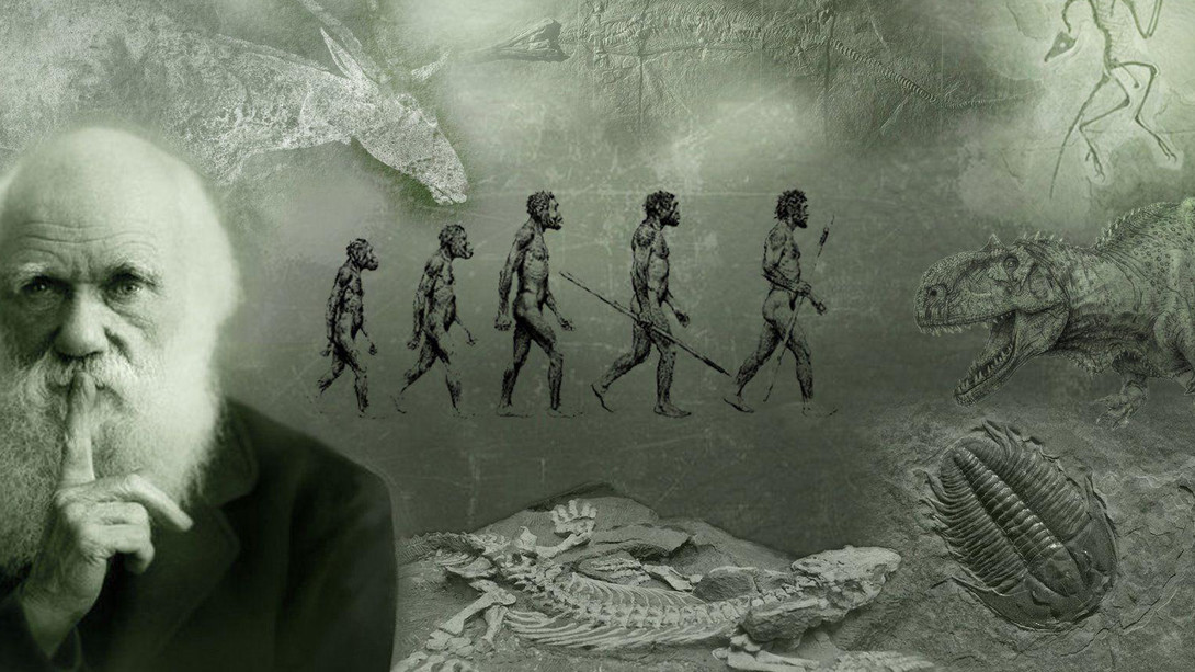 5 Aree della scienza che pongono dei problemi sulla teoria dell’evoluzionismo