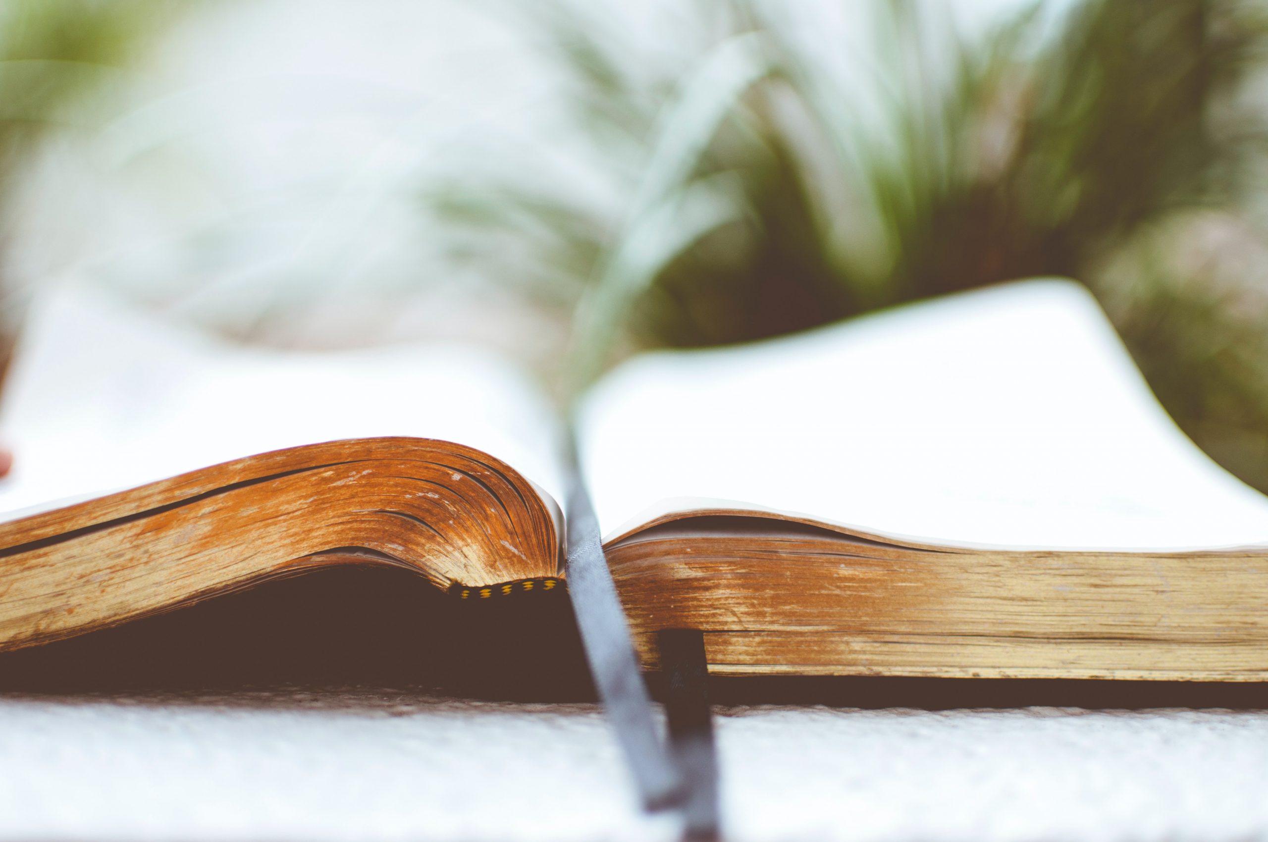 Sì, leggere le Scritture cambia davvero le persone