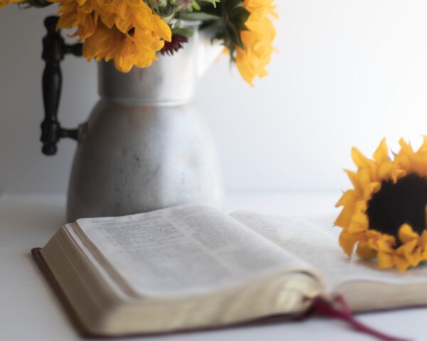 Otto elementi essenziali per la vita cristiana