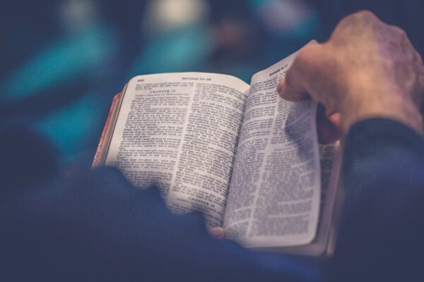 Leggo la Bibbia e non provo niente, cosa dovrei fare?