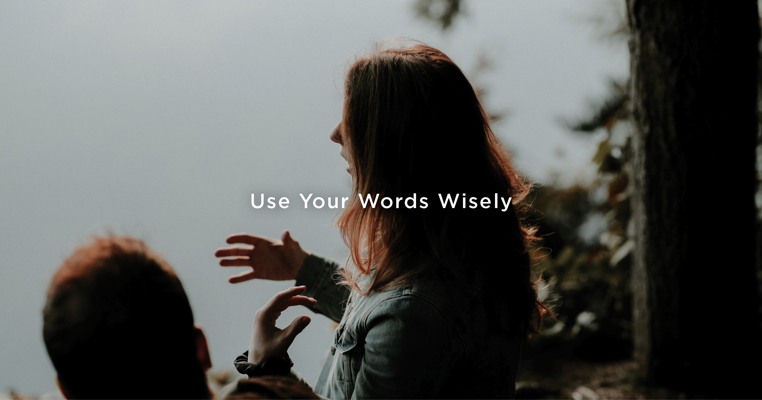 Usate le parole con saggezza