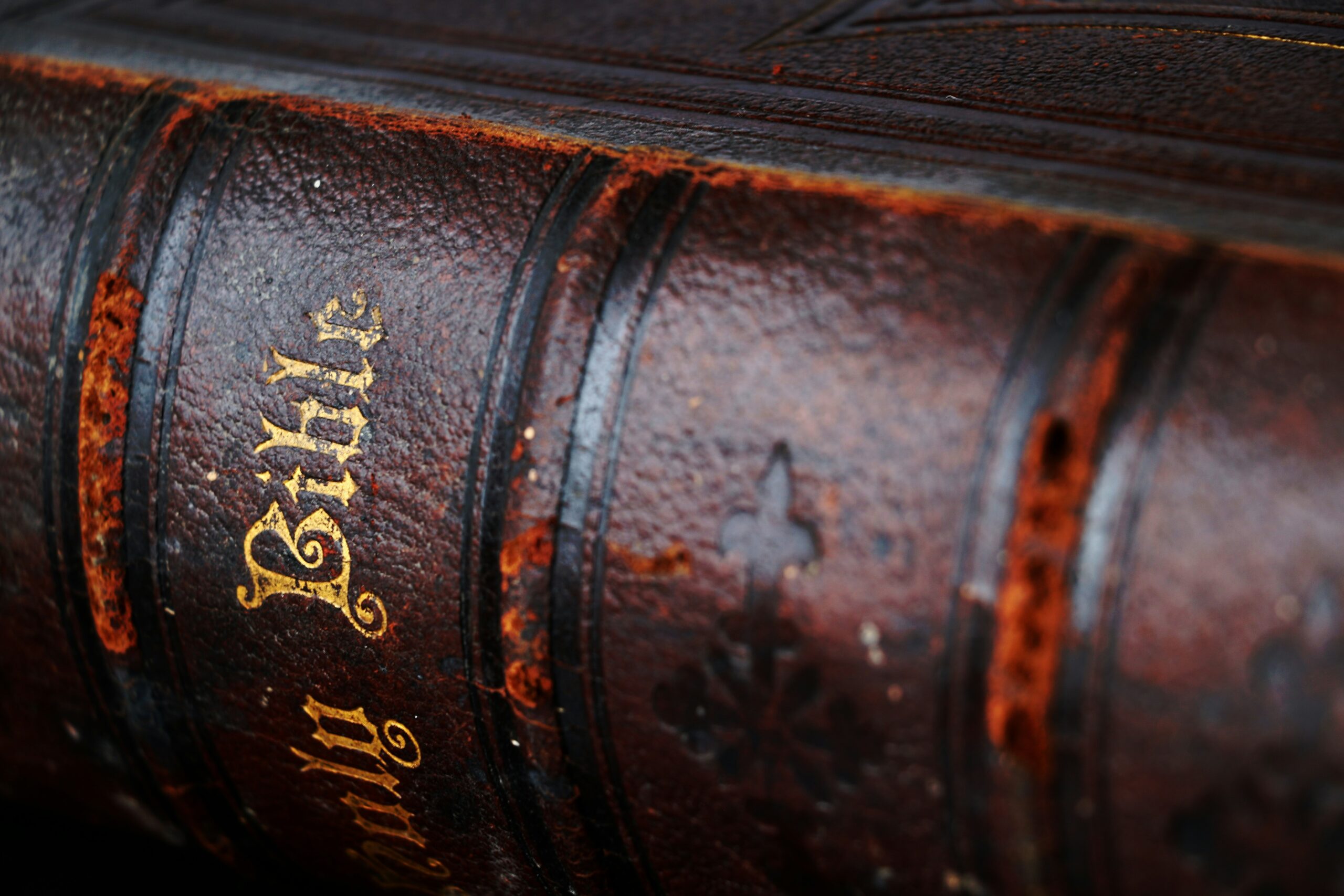Uso e abuso delle Scritture